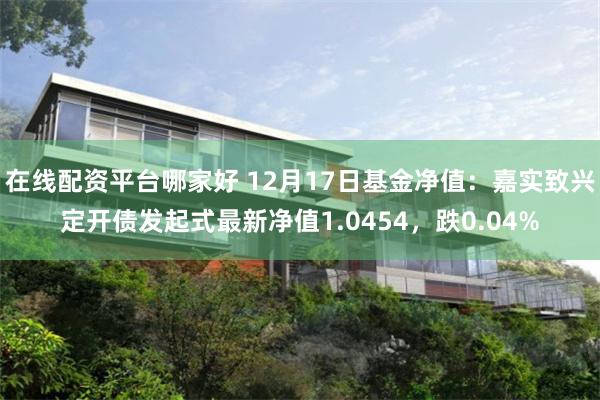 在线配资平台哪家好 12月17日基金净值：嘉实致兴定开债发起式最新净值1.0454，跌0.04%