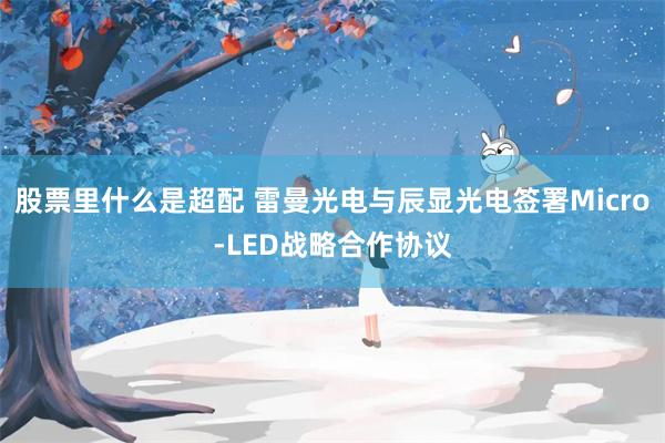 股票里什么是超配 雷曼光电与辰显光电签署Micro-LED战略合作协议