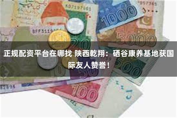 正规配资平台在哪找 陕西乾翔：硒谷康养基地获国际友人赞誉！