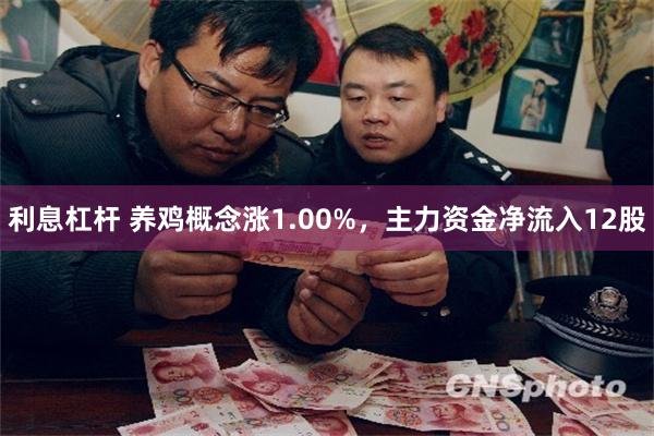 利息杠杆 养鸡概念涨1.00%，主力资金净流入12股