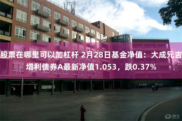 股票在哪里可以加杠杆 2月28日基金净值：大成元吉增利债券A最新净值1.053，跌0.37%