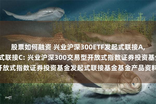 股票如何融资 兴业沪深300ETF发起式联接A,兴业沪深300ETF发起式联接C: 兴业沪深300交易型开放式指数证券投资基金发起式联接基金基金产品资料概要更新